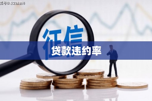 石柱贷款违约率
