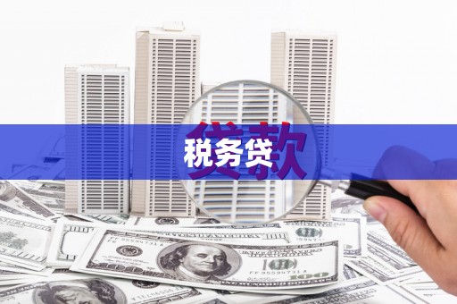 石柱税务贷