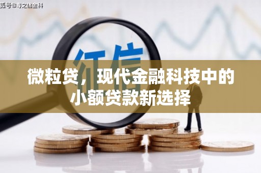 石柱微粒贷，现代金融科技中的小额贷款新选择
