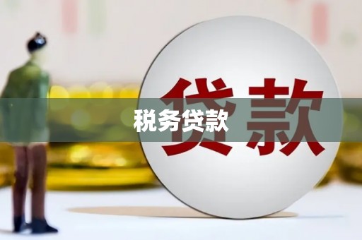 石柱税务贷款