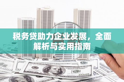石柱税务贷助力企业发展，全面解析与实用指南