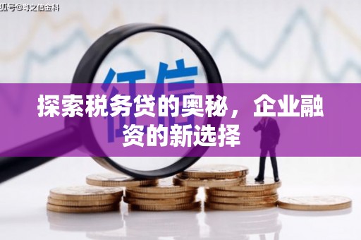 石柱探索税务贷的奥秘，企业融资的新选择