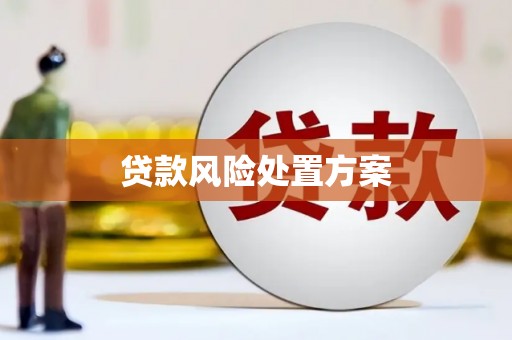石柱贷款风险处置方案