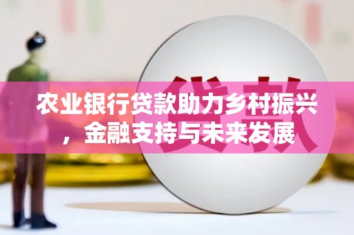 石柱农业银行贷款助力乡村振兴，金融支持与未来发展