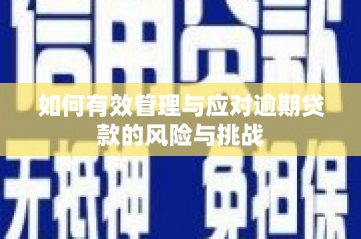 石柱如何有效管理与应对逾期贷款的风险与挑战