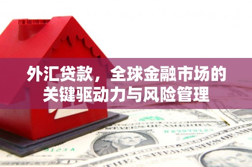 石柱外汇贷款，全球金融市场的关键驱动力与风险管理