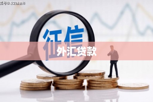 石柱外汇贷款