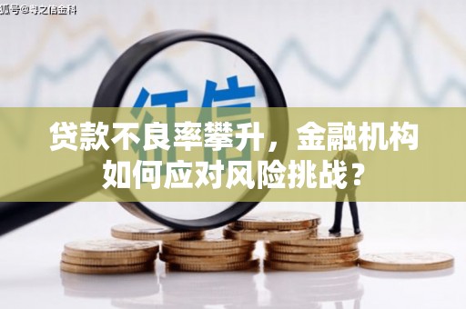 石柱贷款不良率攀升，金融机构如何应对风险挑战？