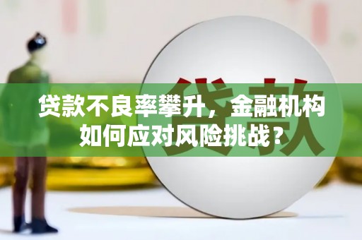 石柱贷款不良率攀升，金融机构如何应对风险挑战？