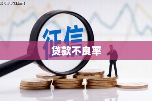 石柱贷款不良率