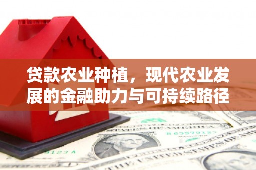 石柱贷款农业种植，现代农业发展的金融助力与可持续路径