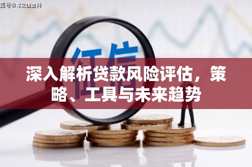 石柱深入解析贷款风险评估，策略、工具与未来趋势