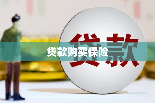 石柱贷款购买保险