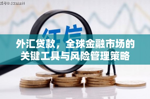 石柱外汇贷款，全球金融市场的关键工具与风险管理策略