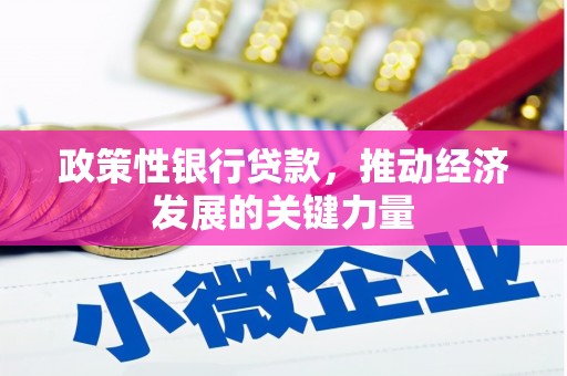 石柱政策性银行贷款，推动经济发展的关键力量