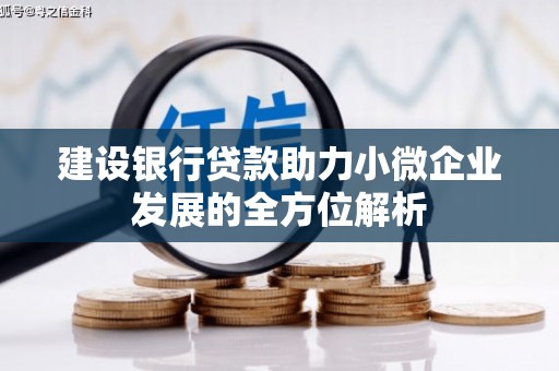 石柱建设银行贷款助力小微企业发展的全方位解析