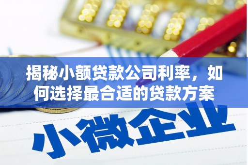 石柱揭秘小额贷款公司利率，如何选择最合适的贷款方案