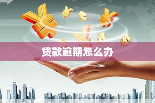 石柱贷款逾期怎么办