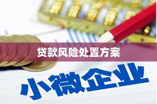 石柱贷款风险处置方案