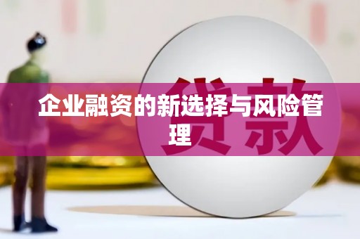 石柱企业融资的新选择与风险管理