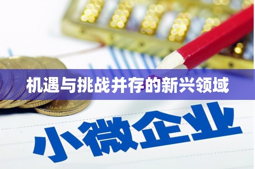 石柱机遇与挑战并存的新兴领域