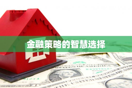 石柱金融策略的智慧选择
