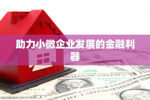 石柱助力小微企业发展的金融利器
