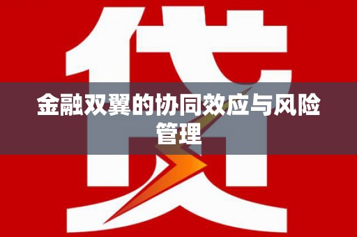 石柱金融双翼的协同效应与风险管理